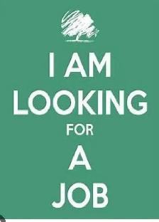 I am looking for job.