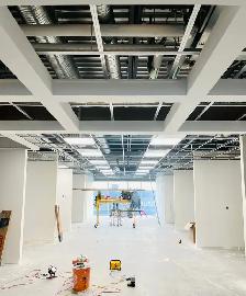 Professional Ceiling Installation - Commercial and Residential