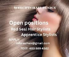Hair Stylists, Join Our Team!