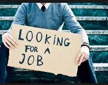 I am looking for a job (not hiring) any general labour job