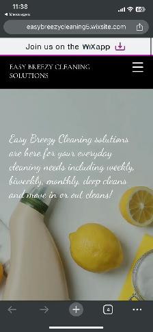 Easy Breezy Cleaning Solutions