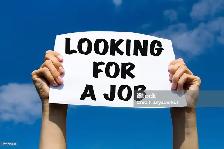 I am looking for a job