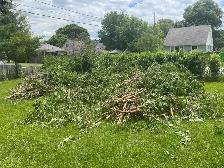 Need someone with truck to move cut down trees