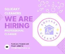 Squeaky Cleaners: Professional Cleaner Wanted