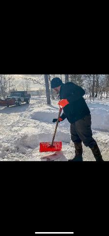 Pelleteur avec voiture