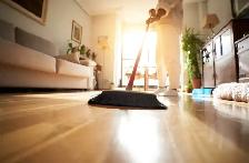 PROFESSIONAL CLEANING SERVICES