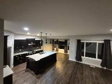 offering cleaning/organizing & painting