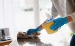 Cleaning Job!