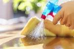 Need Cleaning Service