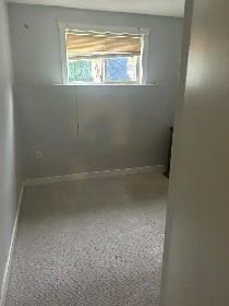 Basement for rent