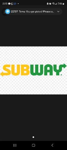 subway Sandwich Artist