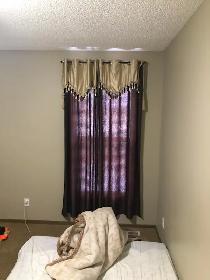 One private bedroom for rent in shared house in Ne temple
