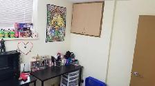 Basement suite for full time or students