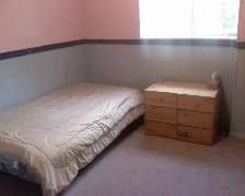Room rent near Algonquin College (Available if you can see)