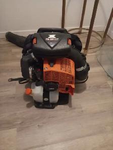 ECHO Backpack Blower / Gas power