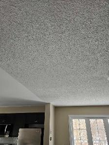 stucco ceiling repair and full drywall repair