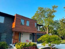 Carpentry / Pressure Washing / Painting