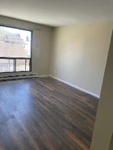 Orillia - Large, Beautiful One Bedroom Apartment for Rent