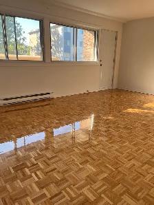 3 1/2 RÉNOVÉ, GRAND, CALME, PRES DU TOUS - GREENFIELD PARK