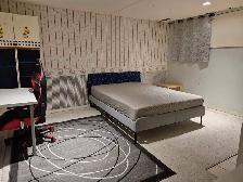 large basement room in Canyon Meadows