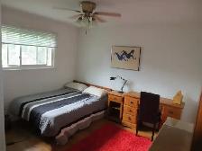 Very Clean Room Furnished Near Algonquin College