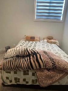 Single Private Room in New Basement