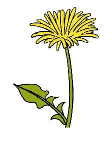 Exciting Outdoor Summer Job Opportunity –  Herbicide Applicator