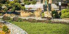 Yard Cleaning And Landscaping Help Service
