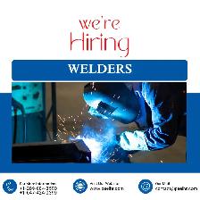 Experienced MIG/TIG Welder