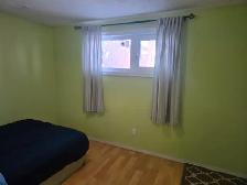 Bright Clean Basement bedroom