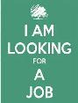 Iam Looking for a job