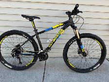 Rocky Mountain Bike