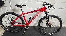 Rocky Mountain Flare - LARGE FRAME - 29er