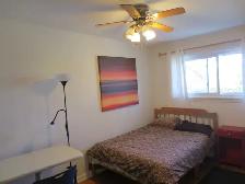 Very Nice Clean Furnished Room Near Algonquin College !