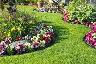 Gardener's Wanted!