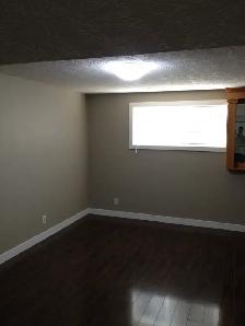 2 bedroom bi level basement for rent in castleridge
