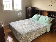 4 bedroom house for rent May 1, 2025