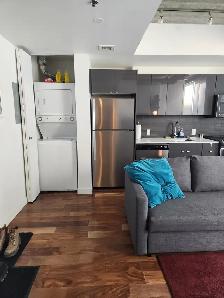Fully Furnished 1 Bedroom Downtown