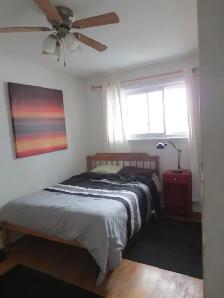 Furnished Clean Room Near Algonquin College !