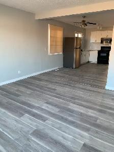 3 Bedroom Main House for Rent - Laundry and Garage included