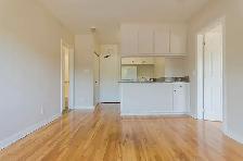 Bright 1 Bedroom Apartment Near Downtown Sudbury