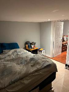 1 bedroom basement apartment