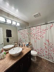 1-Bedroom Apartment in Osborne Village