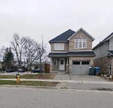 Legal basement in detached house for rent - South end, Guelph