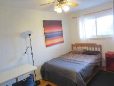 Clean Quiet Room Near Algonquin College !