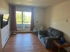 Furnished 1 bedroom apartment for rent
