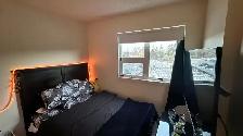Shared 1 Bedroom Near UofC 4 month lease