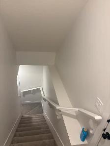 Basement for Rent in Jensen Lakes, St. Albert!