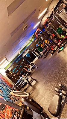 12 One Hour Personal Training Sessions $420 (Free Consultation)