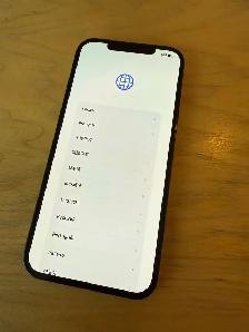 iPhone 12 Pro Max